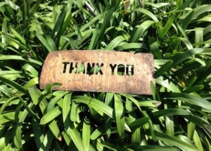 A thank you shows gratitude in the simplest way